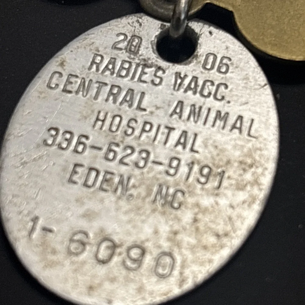 Vintage Dog Tags Lot of 5 AKC Rabies Vaccination Pet ID Eden NC Milk Bone